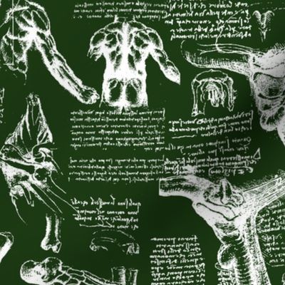 Da Vinci's Anatomy Sketchbook // Myrtle Green // Large