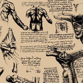 Da Vinci's Anatomy Sketchbook // Tan // Large