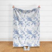 Blue shawl in toile colors