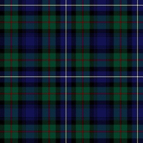 Robertson hunting tartan, 1816, 4" dark