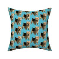 Norwich Terrier fabric small