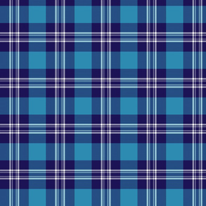 Earl of St. Andrews / St. Andrews District tartan, 4"