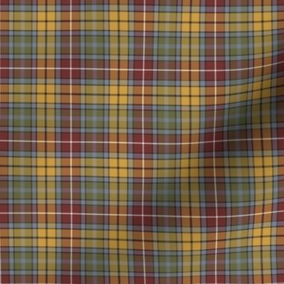 Buchanan 1800 tartan, 2" weathered colors (1/3 scale)