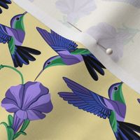 Purple Hummingbirds and Patunias
