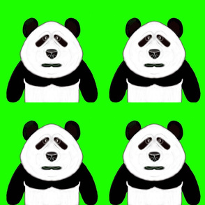 Patrick Panda on Lime Green