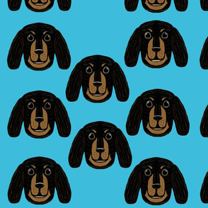 Dixie Dachshunds on Sky Blue