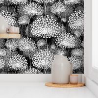 Black and White Dandelions Large Scale