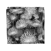 Black and White Dandelions Large Scale