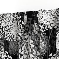 Black and White Dandelions Large Scale