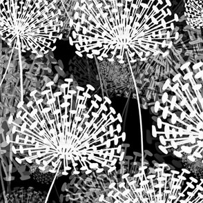 Black and White Dandelions Large Scale