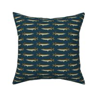 smaller northern pike on navy blue