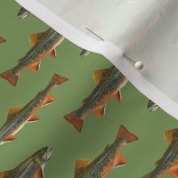 smaller brook trout (2") on vintage green