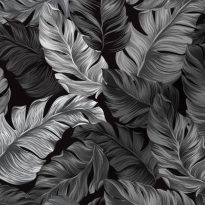 Tropical Leaves, Black and White, Banana Leaves on Black