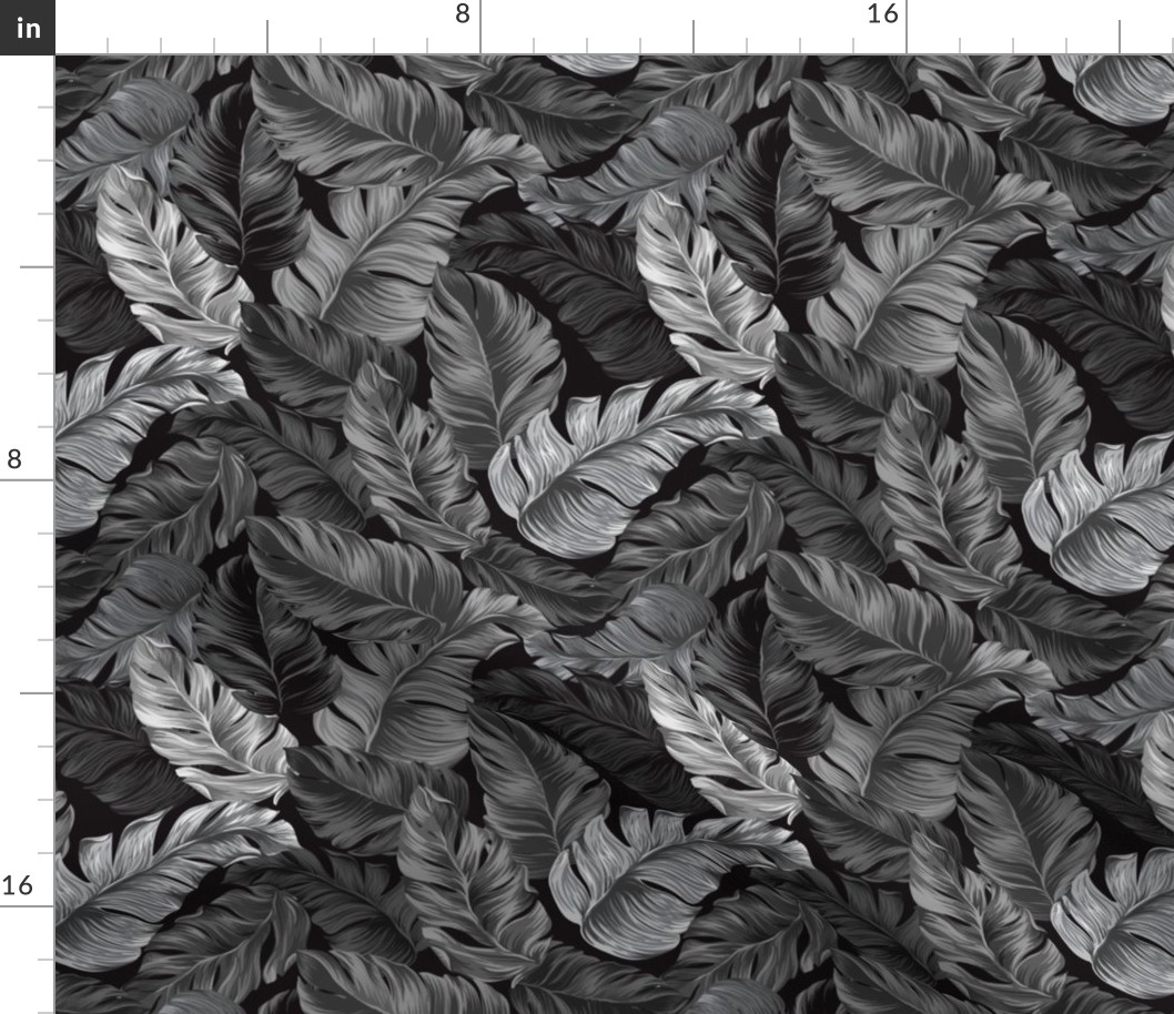 Tropical Leaves, Black and White, Banana Leaves on Black