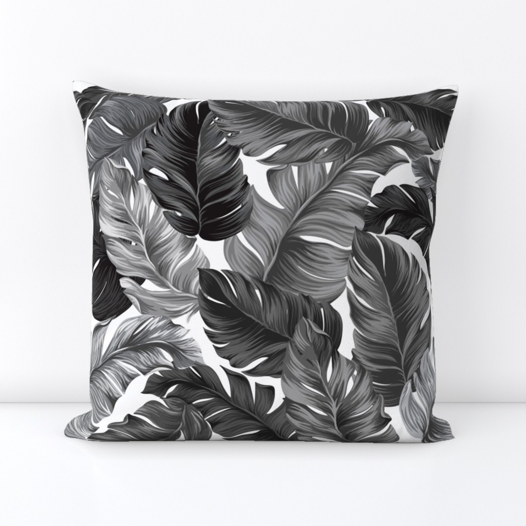 Tropical Banana Leaves Black and White Tropical Leaves, Banana Leaves on White