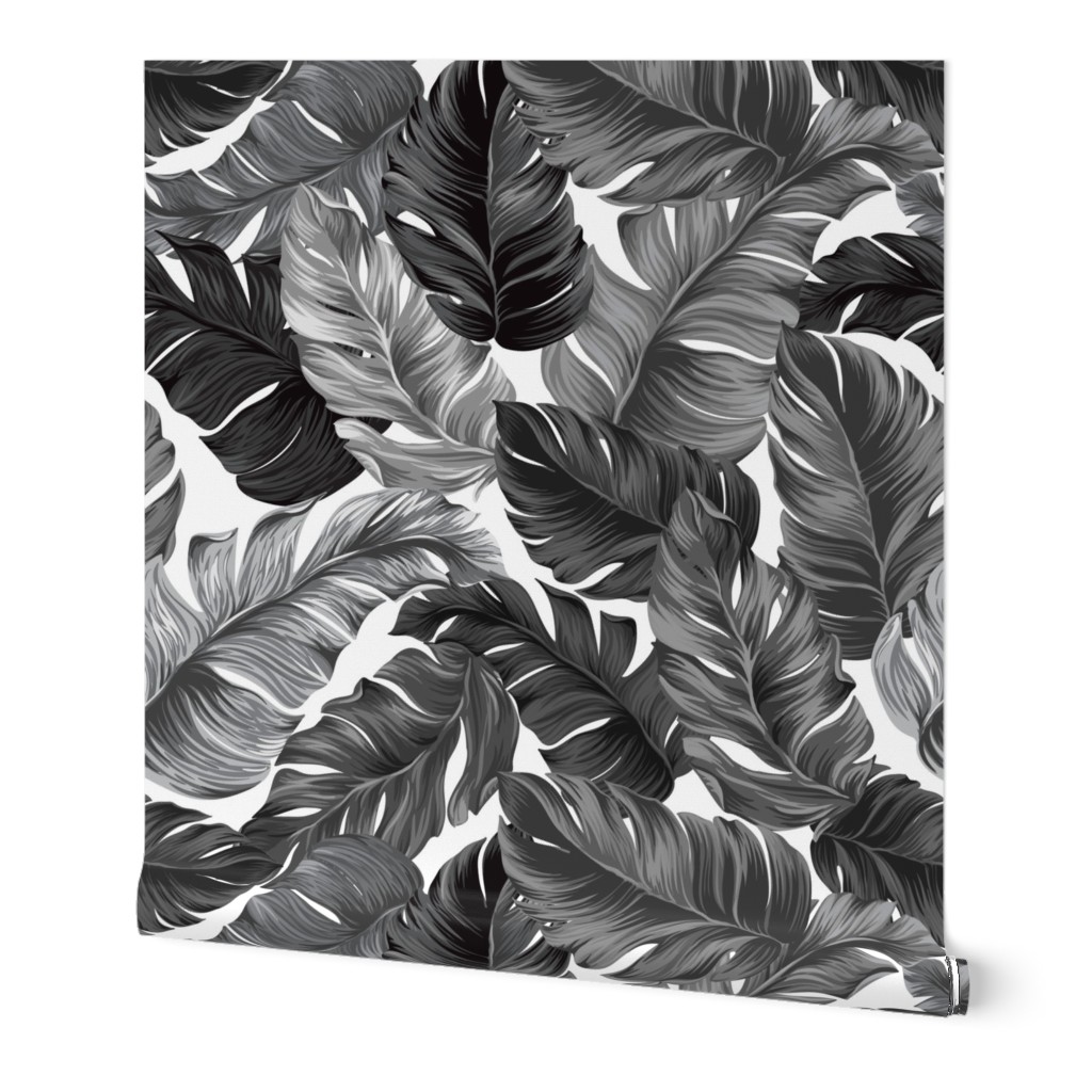 Tropical Banana Leaves Black and White Tropical Leaves, Banana Leaves on White