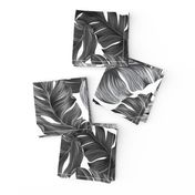 Tropical Banana Leaves Black and White Tropical Leaves, Banana Leaves on White