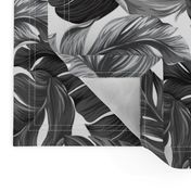 Tropical Banana Leaves Black and White Tropical Leaves, Banana Leaves on White