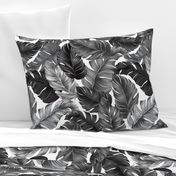 Tropical Banana Leaves Black and White Tropical Leaves, Banana Leaves on White