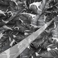 Tropical Banana Leaves Black and White Tropical Leaves, Banana Leaves on White