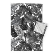 Tropical Banana Leaves Black and White Tropical Leaves, Banana Leaves on White