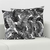 Tropical Banana Leaves Black and White Tropical Leaves, Banana Leaves on White