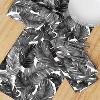 Tropical Banana Leaves Black and White Tropical Leaves, Banana Leaves on White