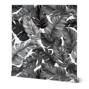 Tropical Banana Leaves Black and White Tropical Leaves, Banana Leaves on White