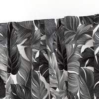 Tropical Banana Leaves Black and White Tropical Leaves, Banana Leaves on White