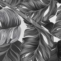 Tropical Banana Leaves Black and White Tropical Leaves, Banana Leaves on White