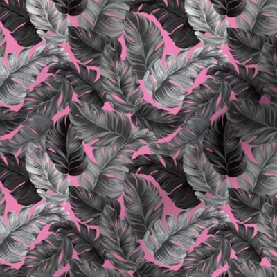 Tropical Banana Leaves  Tropical Leaves, Banana Leaves on Pink