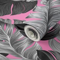 Tropical Banana Leaves  Tropical Leaves, Banana Leaves on Pink