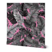 Tropical Banana Leaves  Tropical Leaves, Banana Leaves on Pink