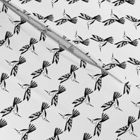Small Hummingbirds in black & white 