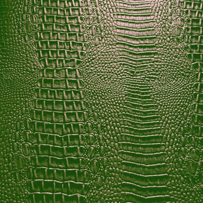 Green Alligator Skin 