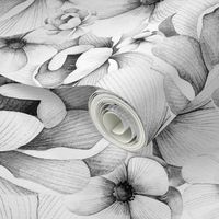 Flowers in White and Black