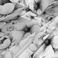 Flowers in White and Black