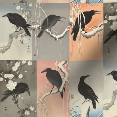 Japanese Crows