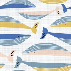 Colourful Whale pod