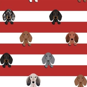 dachshund stripes dog breed fabric red