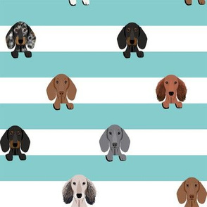 dachshund stripes dog breed fabric light blue