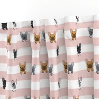 french bulldog stripes dog breed fabric pink