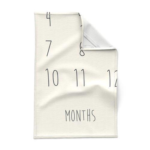 oh the places you wil lgo months only baby milestone blanket