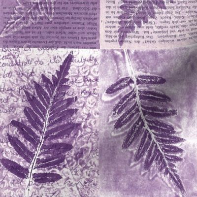 Purple - Fern