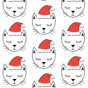 sleepy cats with santa hats