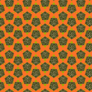 tortoise-orange