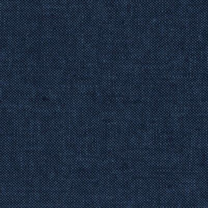 solid woven - blue