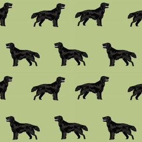 flat coated retriever simple dog breed fabric med green