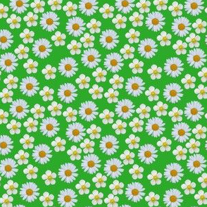 Ditsy Daisies and strawberry flowers