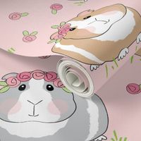 jumbo guinea pigs and pink roses